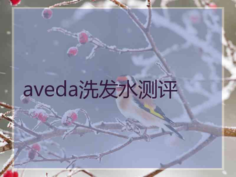 aveda洗发水测评