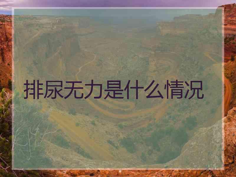 排尿无力是什么情况