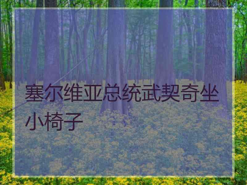 塞尔维亚总统武契奇坐小椅子
