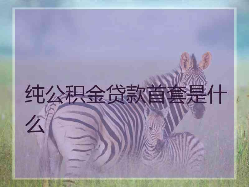 纯公积金贷款首套是什么