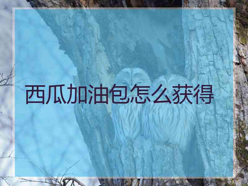西瓜加油包怎么获得