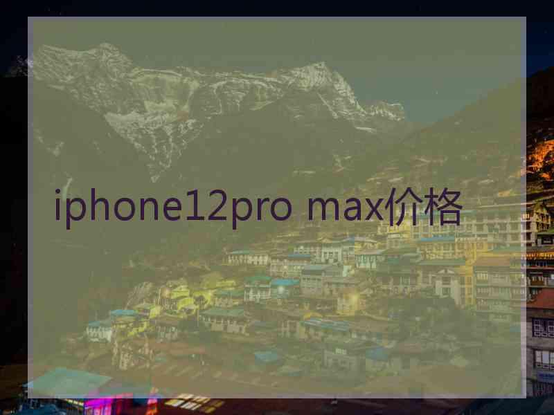 iphone12pro max价格