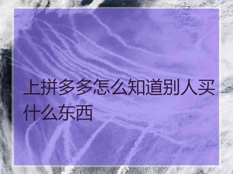 上拼多多怎么知道别人买什么东西