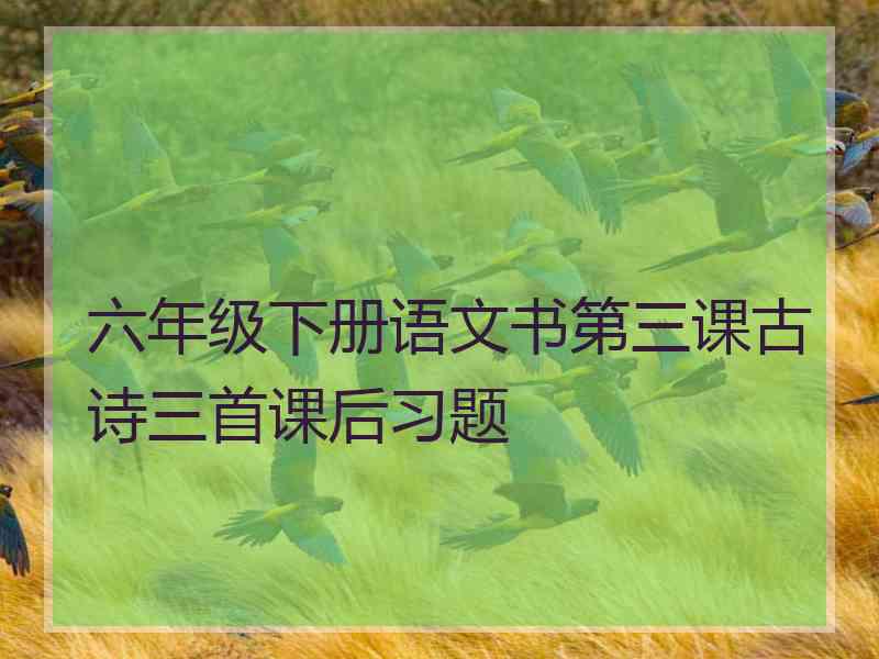 六年级下册语文书第三课古诗三首课后习题