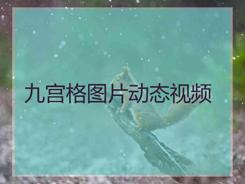 九宫格图片动态视频