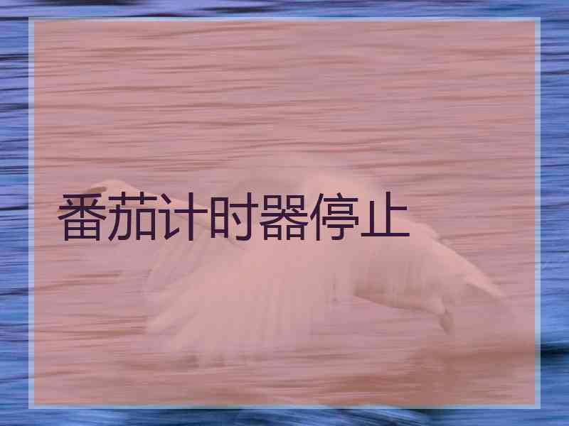 番茄计时器停止