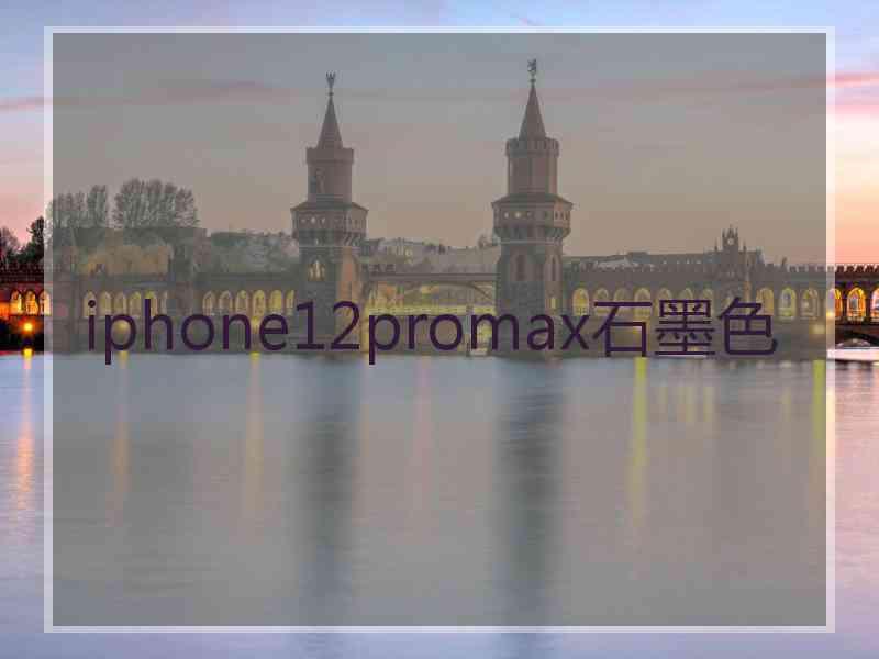 iphone12promax石墨色