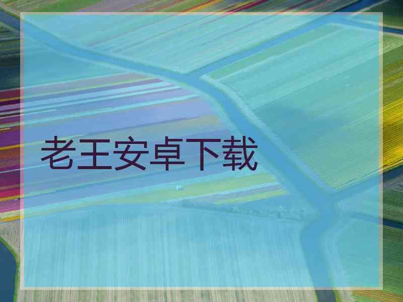 老王安卓下载