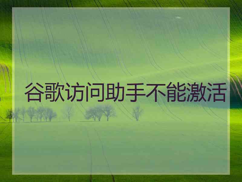 谷歌访问助手不能激活