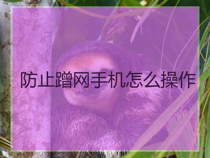 防止蹭网手机怎么操作