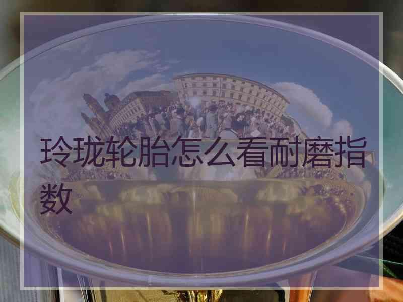 玲珑轮胎怎么看耐磨指数
