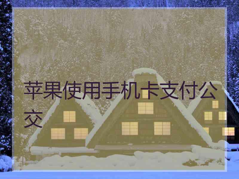 苹果使用手机卡支付公交