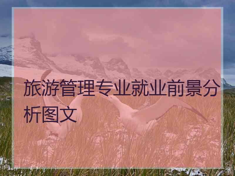 旅游管理专业就业前景分析图文