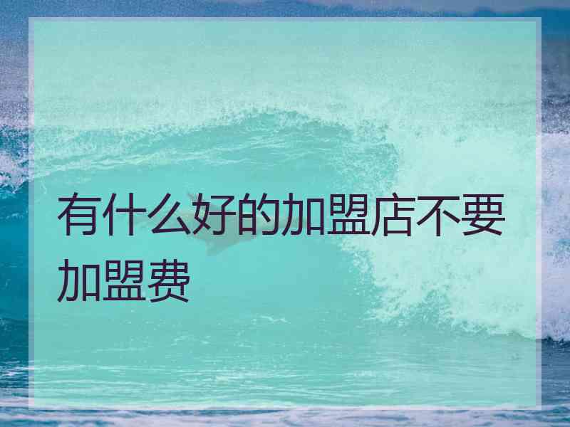 有什么好的加盟店不要加盟费