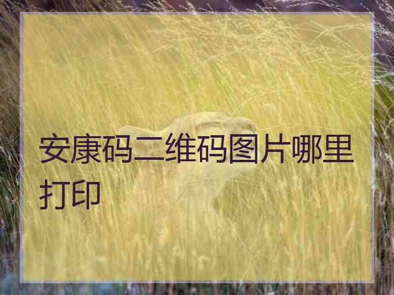 安康码二维码图片哪里打印