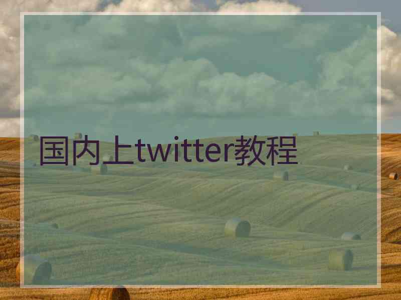国内上twitter教程