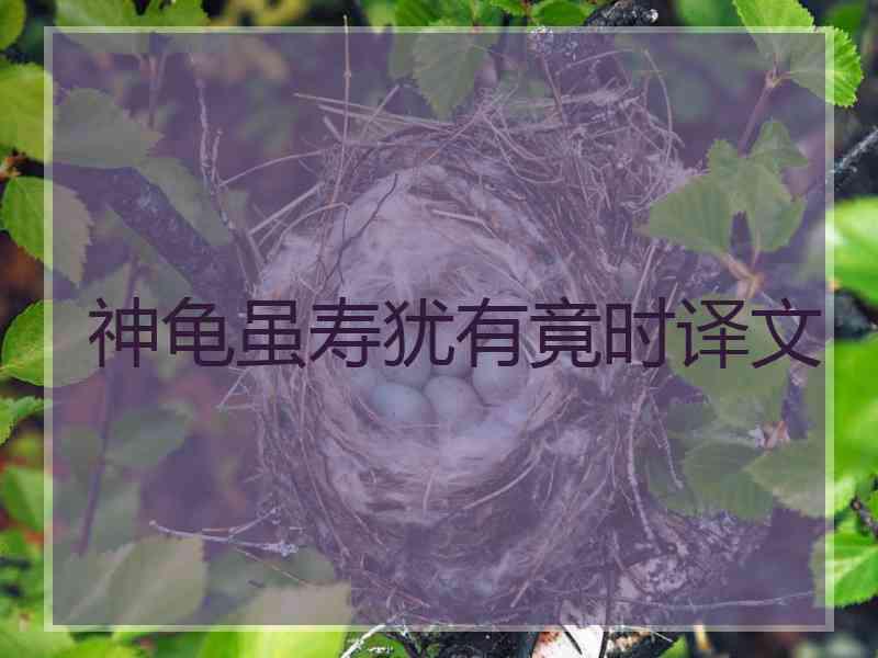 神龟虽寿犹有竟时译文