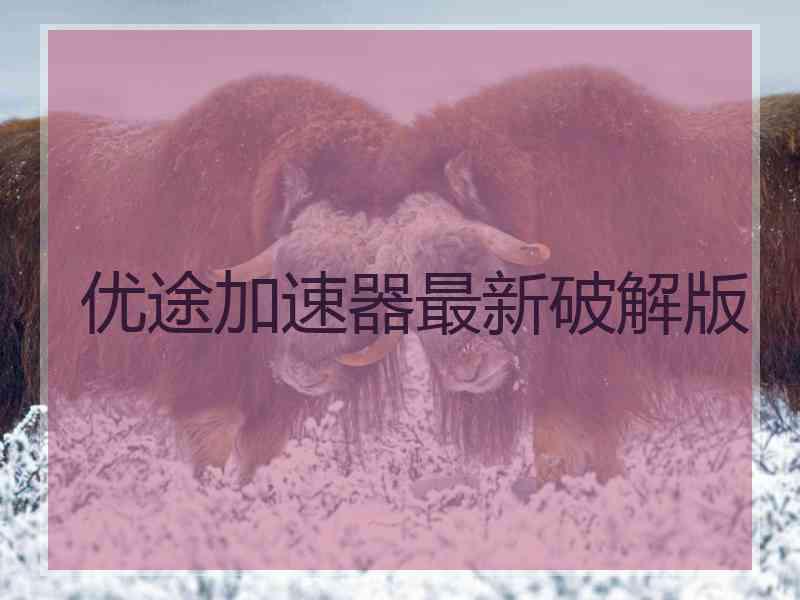 优途加速器最新破解版