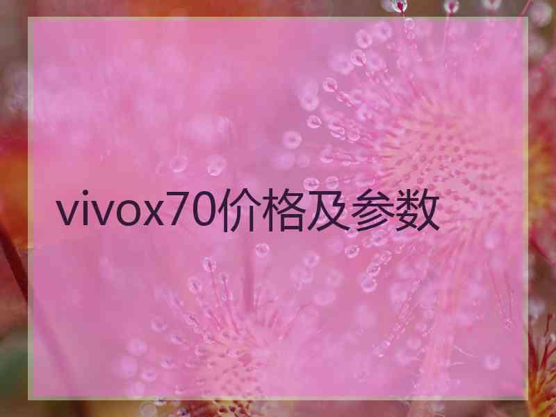 vivox70价格及参数