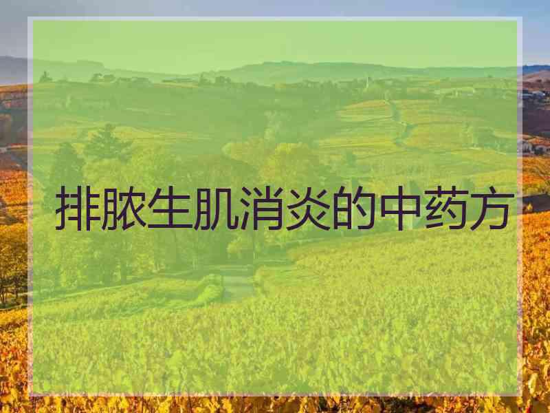 排脓生肌消炎的中药方
