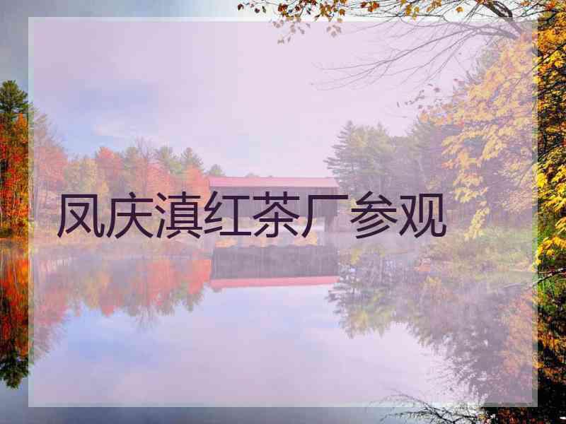 凤庆滇红茶厂参观