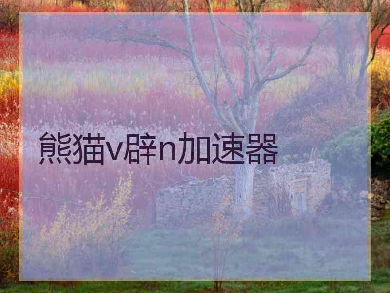 熊猫v辟n加速器