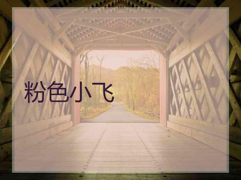 粉色小飞