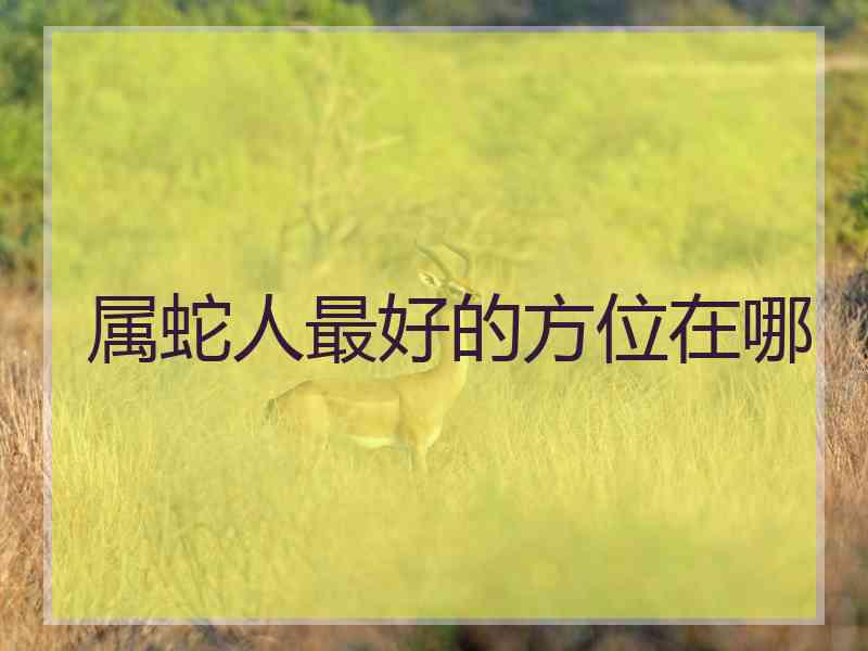属蛇人最好的方位在哪