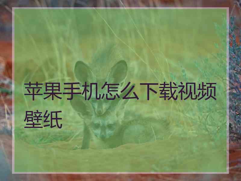 苹果手机怎么下载视频壁纸