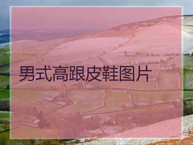 男式高跟皮鞋图片