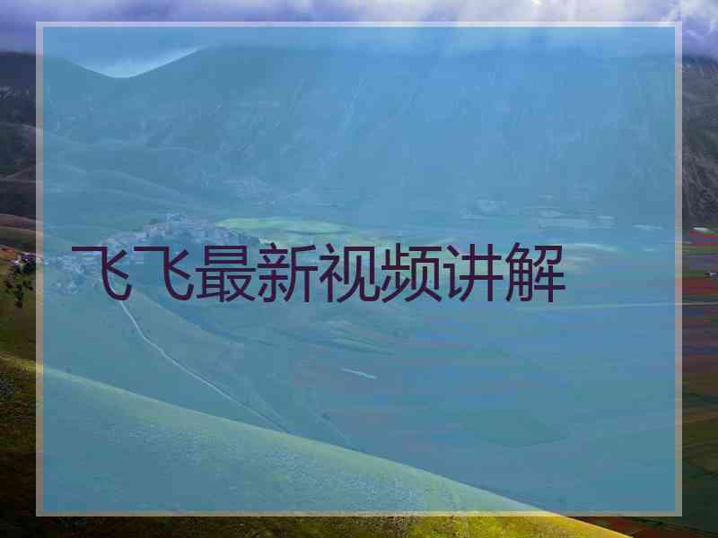飞飞最新视频讲解