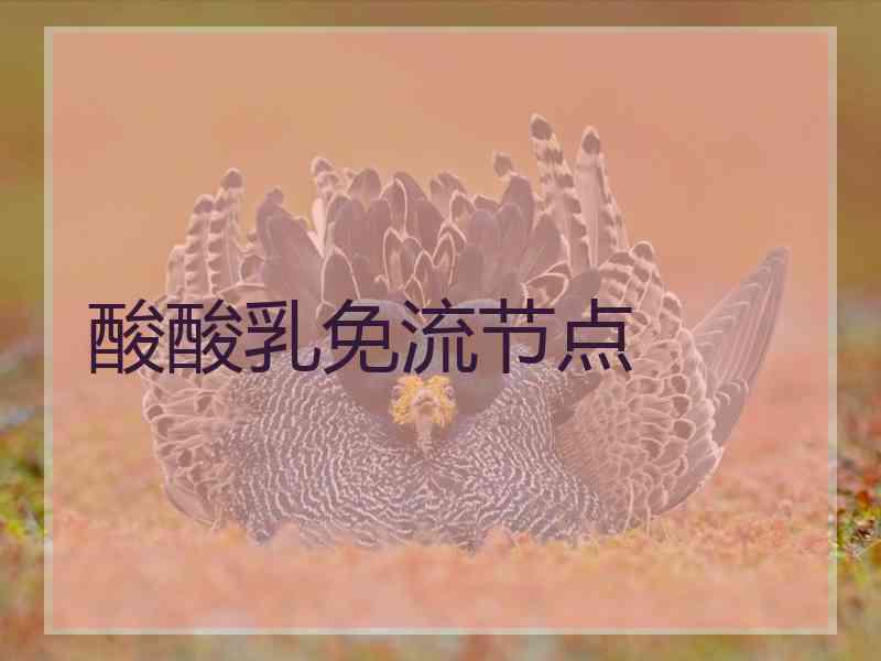酸酸乳免流节点