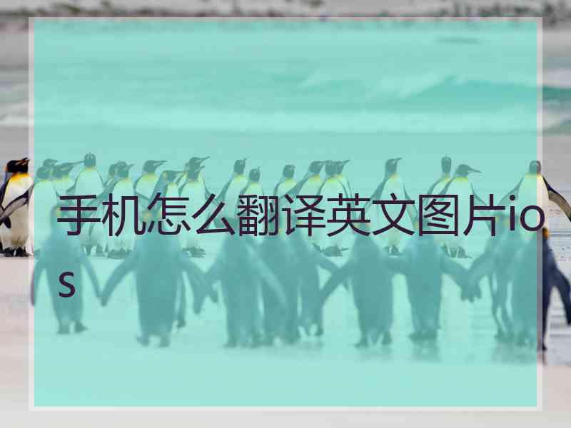 手机怎么翻译英文图片ios
