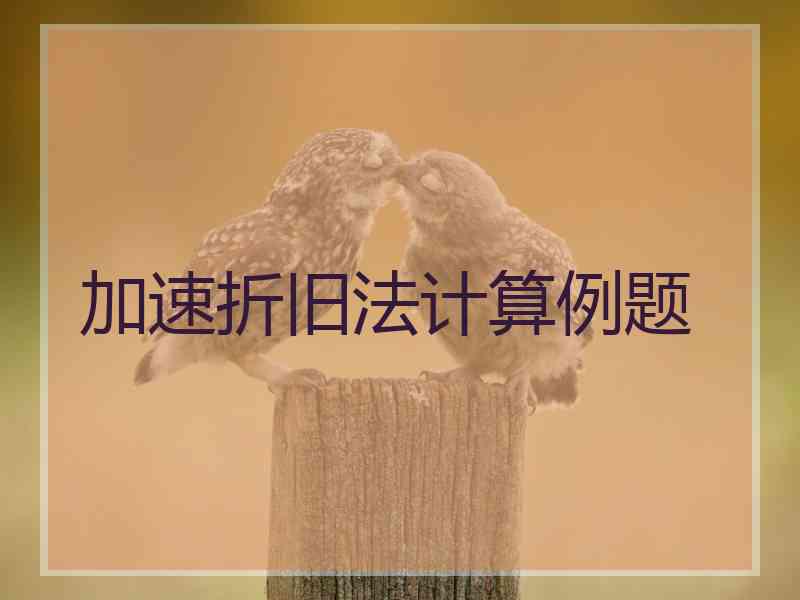 加速折旧法计算例题