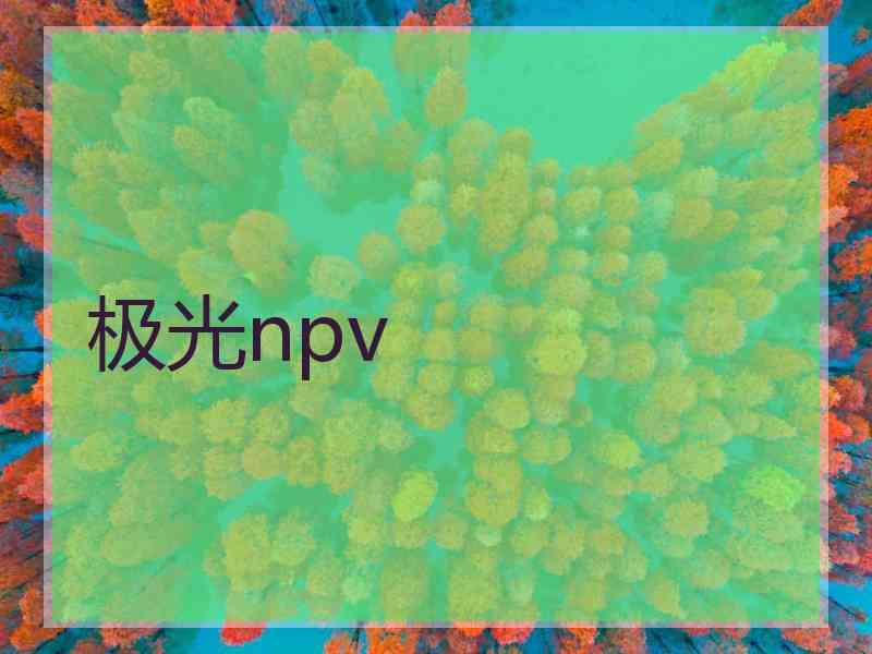 极光npv