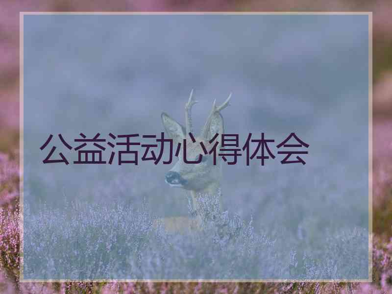公益活动心得体会
