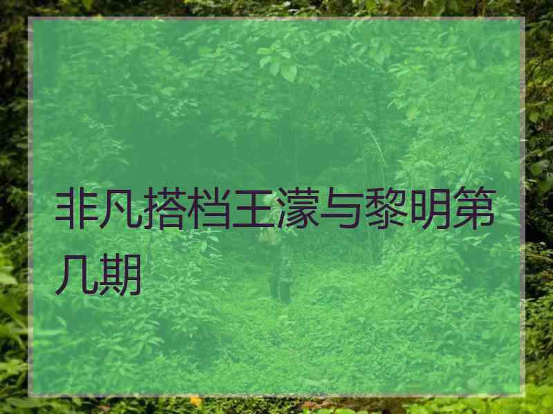 非凡搭档王濛与黎明第几期