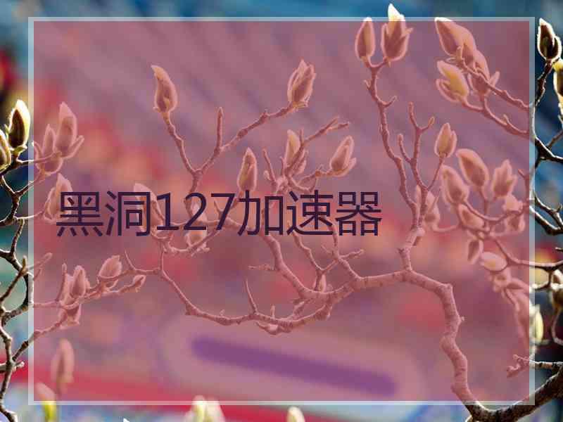黑洞127加速器
