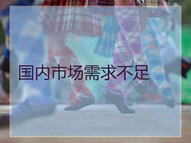 国内市场需求不足
