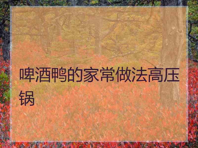 啤酒鸭的家常做法高压锅
