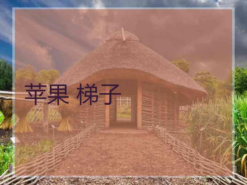 苹果 梯子