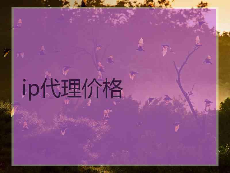 ip代理价格