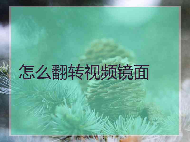 怎么翻转视频镜面