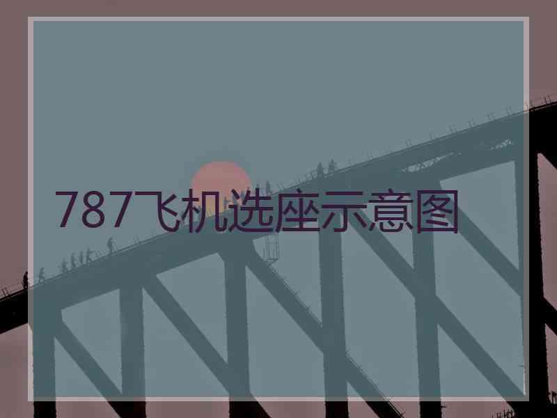 787飞机选座示意图