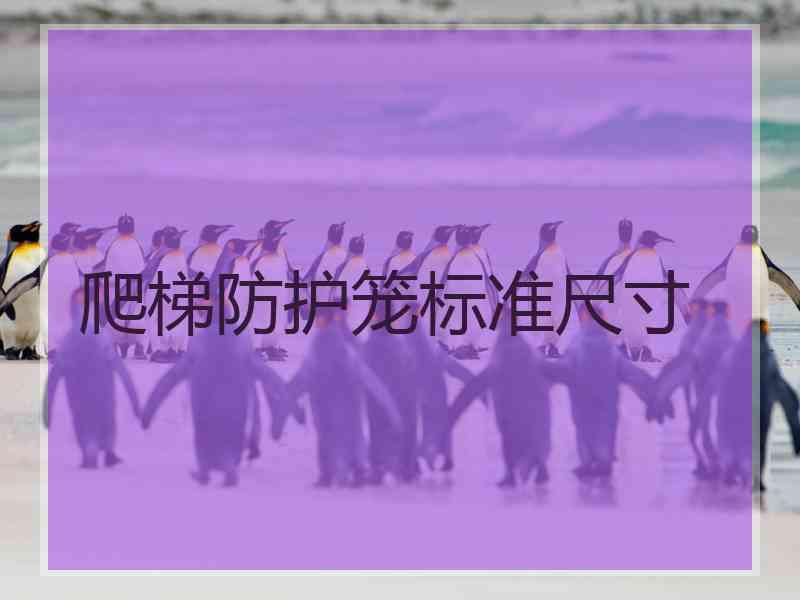 爬梯防护笼标准尺寸