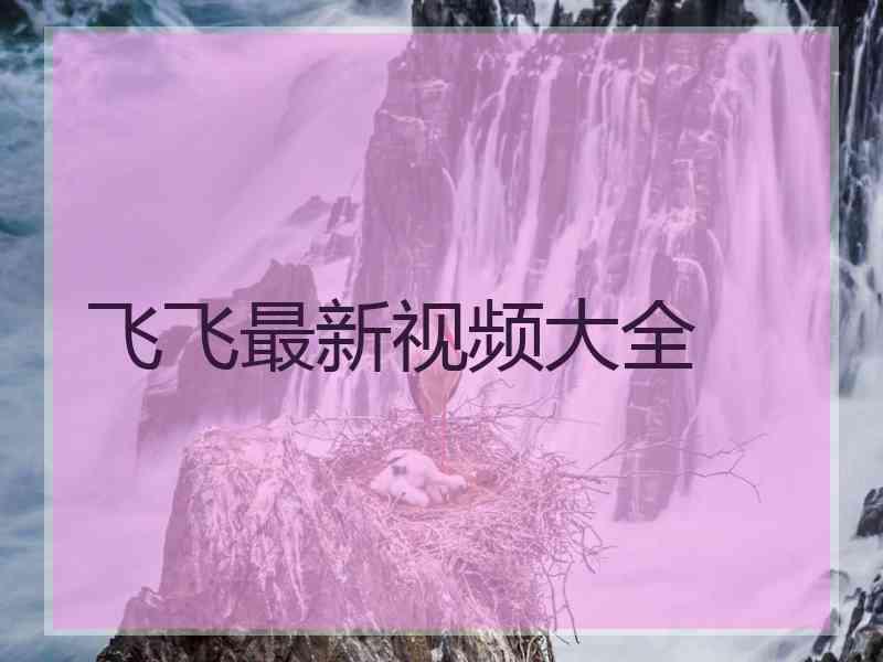 飞飞最新视频大全
