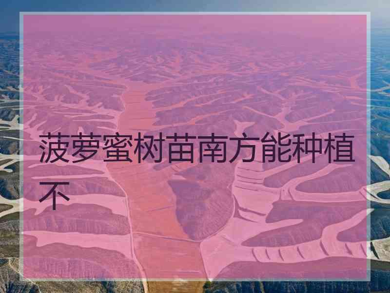 菠萝蜜树苗南方能种植不