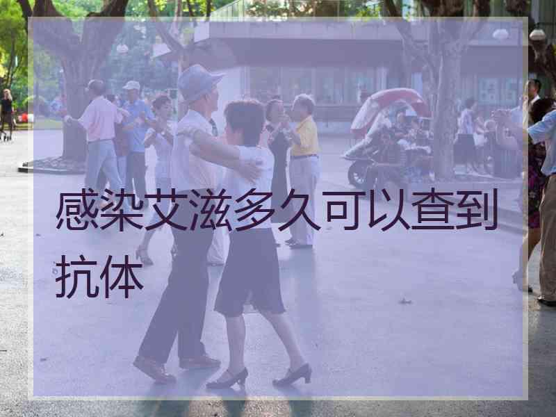 感染艾滋多久可以查到抗体