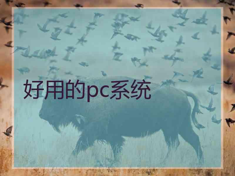 好用的pc系统
