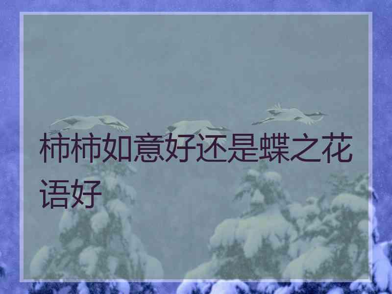 柿柿如意好还是蝶之花语好